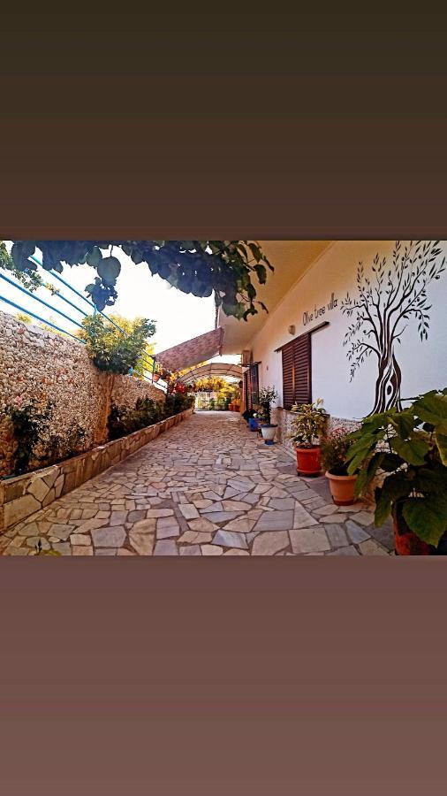 Olive Tree Villa Lygia  Buitenkant foto