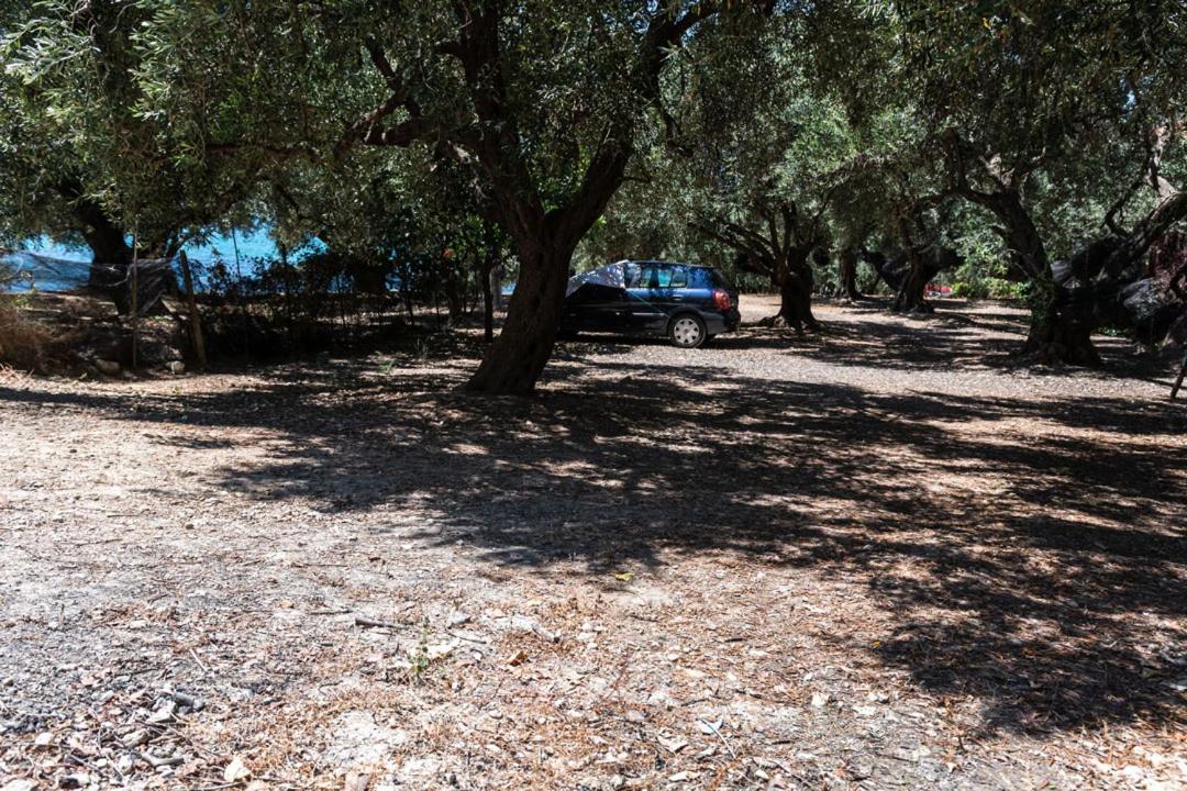 Olive Tree Villa Lygia  Buitenkant foto