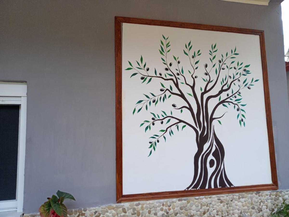 Olive Tree Villa Lygia  Buitenkant foto